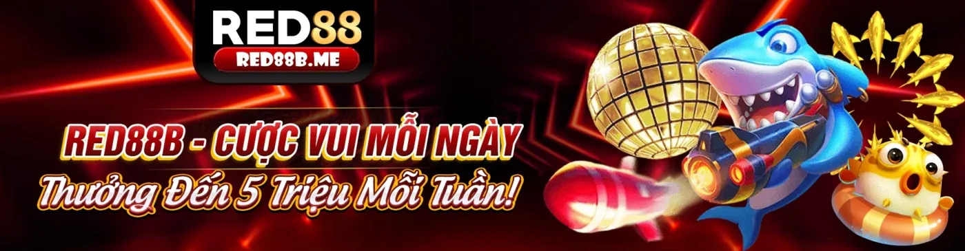 Hình ảnh chính của Blog 383sports đăng ký
