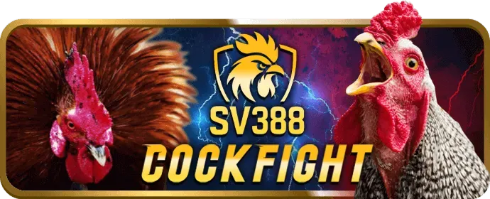 Cách nạp tiền vào 383sports